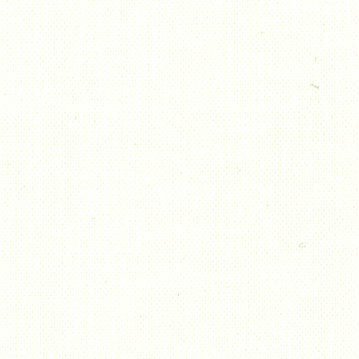 DC SOLIDS 004 WHITEHAVEN