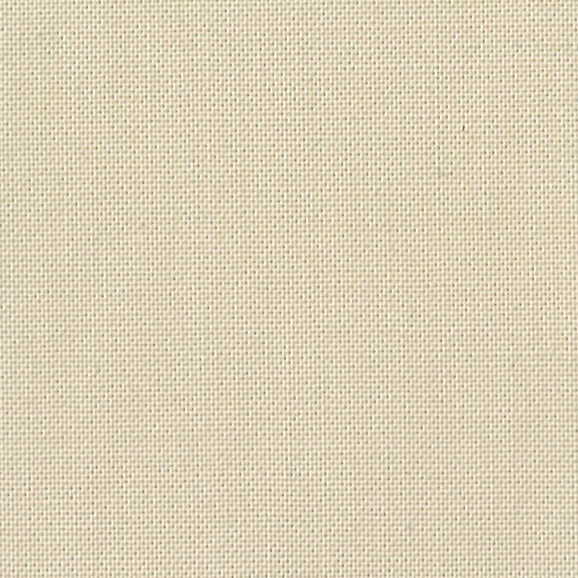DC SOLIDS 019 PAPERBARK