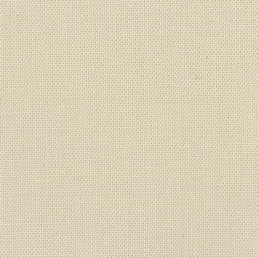 DC SOLIDS 019 PAPERBARK