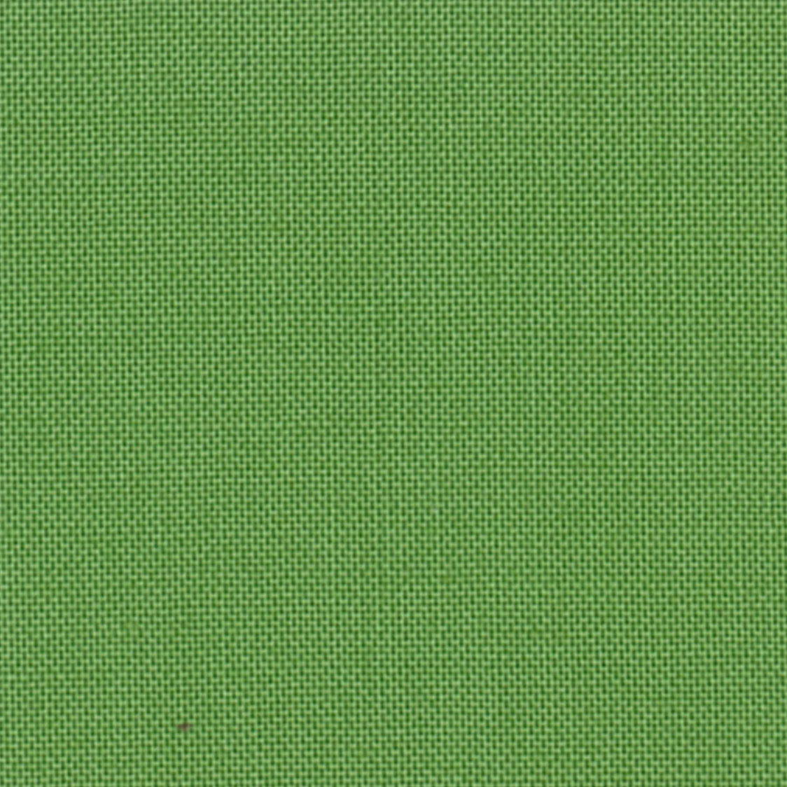 DC SOLIDS 030 KROKODILGRÜN