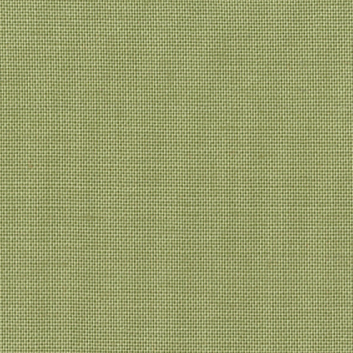 DC SOLIDS 040 PINE TREE