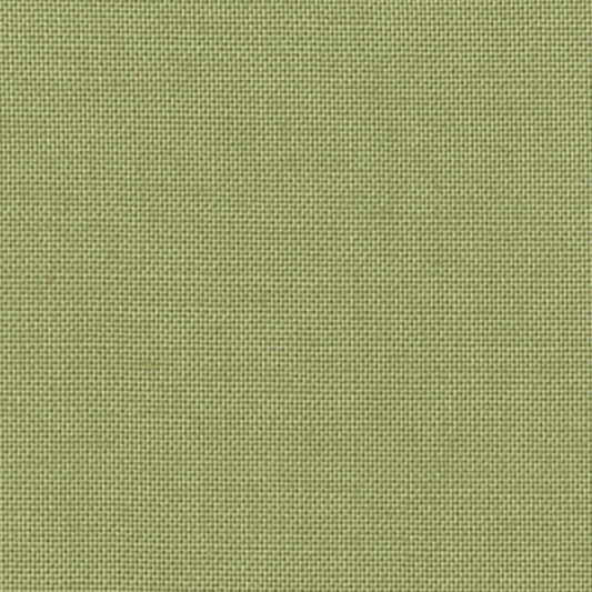 DC SOLIDS 040 PINE TREE
