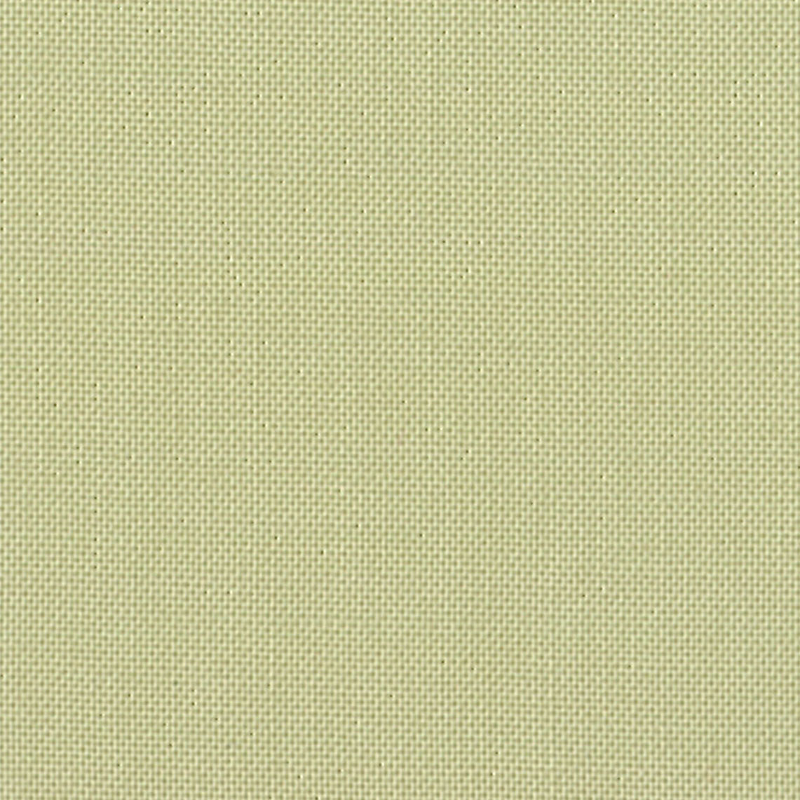DC SOLIDS 041 PISTACHIO