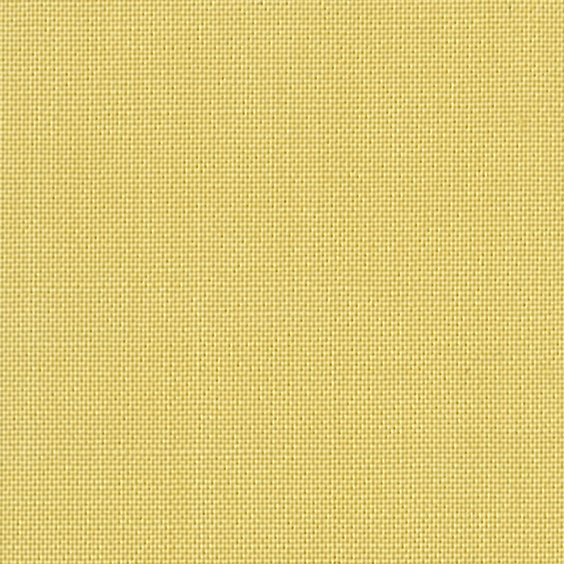 DC SOLIDS 044 BEE STING
