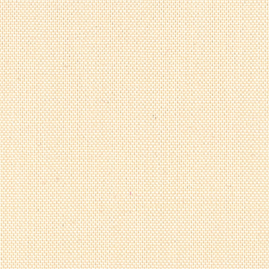 DC SOLIDS 051 SEA SHELL