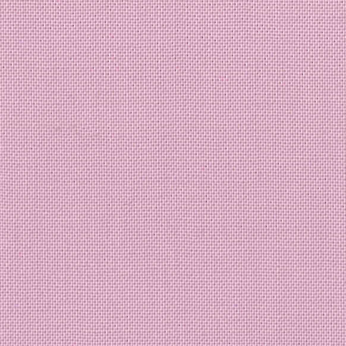 DC SOLIDS 092 BORONIA