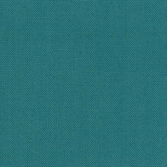 DC SOLIDS 099 DUGONG