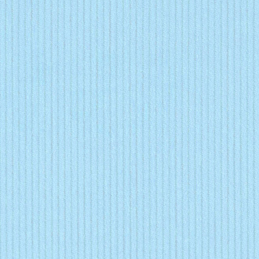 DV2020 CORDUROY 21W PARLTY CLOUDY