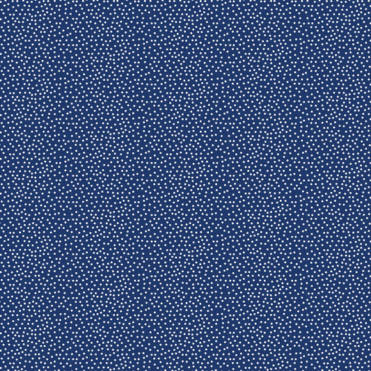 DV2269 CONFETTI NAVY