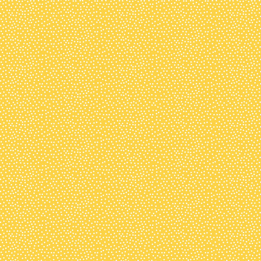 DV2273 CONFETTI SUNNY