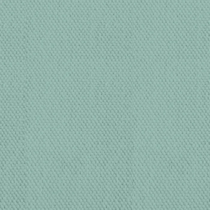 DV2763 QUACKERS 220GSM MINT
