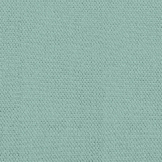 DV2763 QUACKERS 220GSM MINT