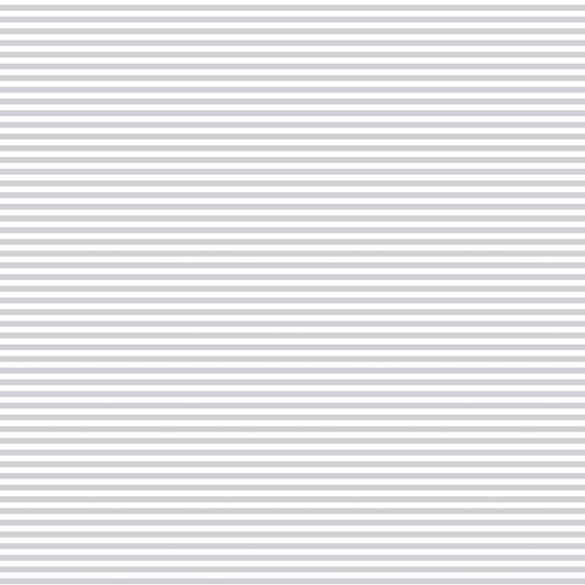 DV2830 FUNDAMENTALS 45870 STRIPE SILVER GUM