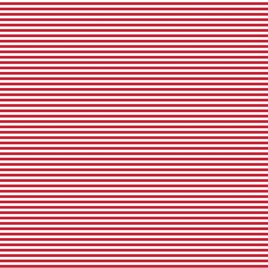DV2840 FUNDAMENTALS 45870 STRIPE RED DELICIOUS