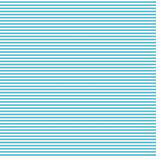 DV2860 FUNDAMENTALS 45870 STRIPE BARRIER BLUE