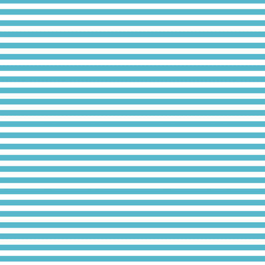 DV2861 FUNDAMENTALS 45748 STRIPE BARRIER BLUE