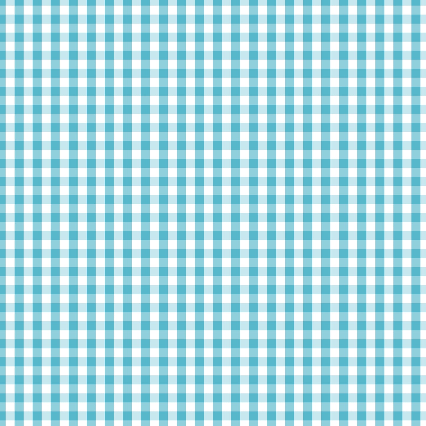 DV2864 FUNDAMENTALS CHECK BARRIER BLUE