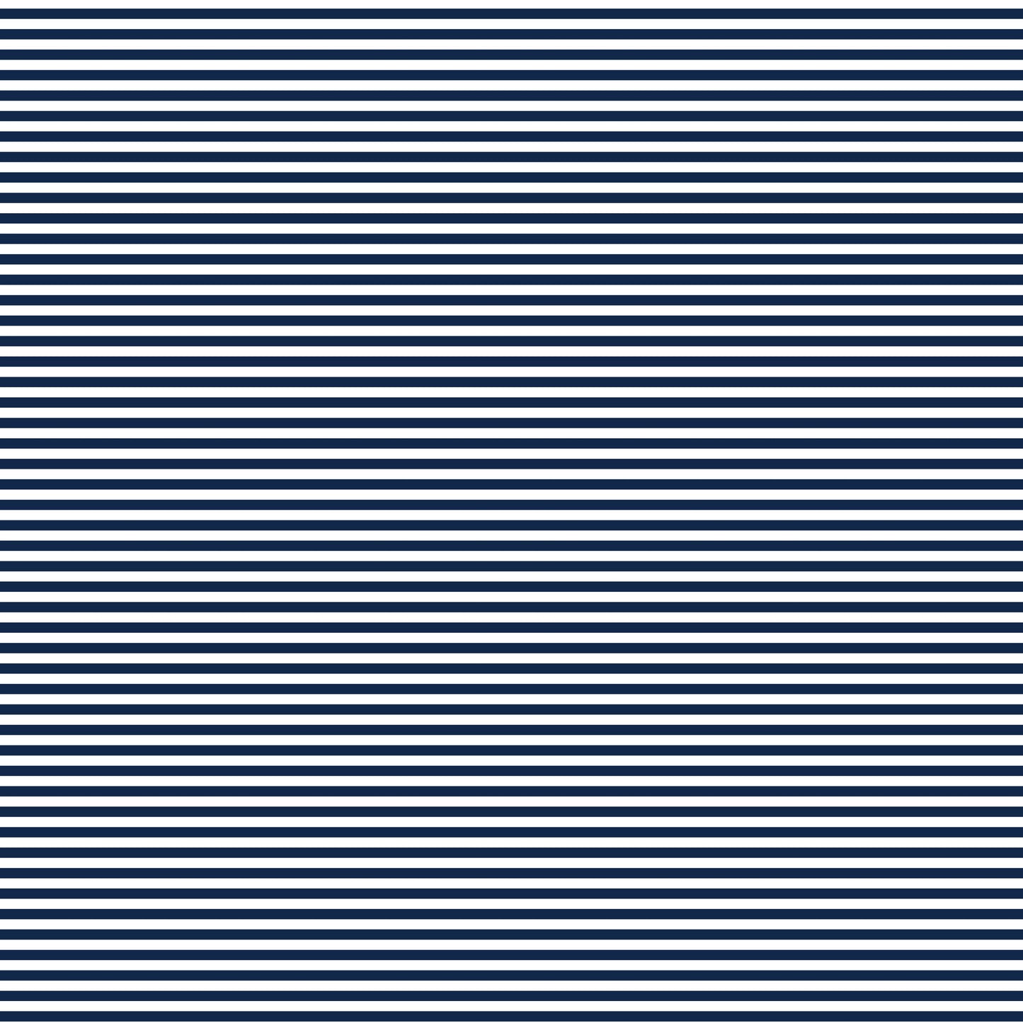 DV2865 FUNDAMENTALS 45870 STRIPE GAMBIER BLUE