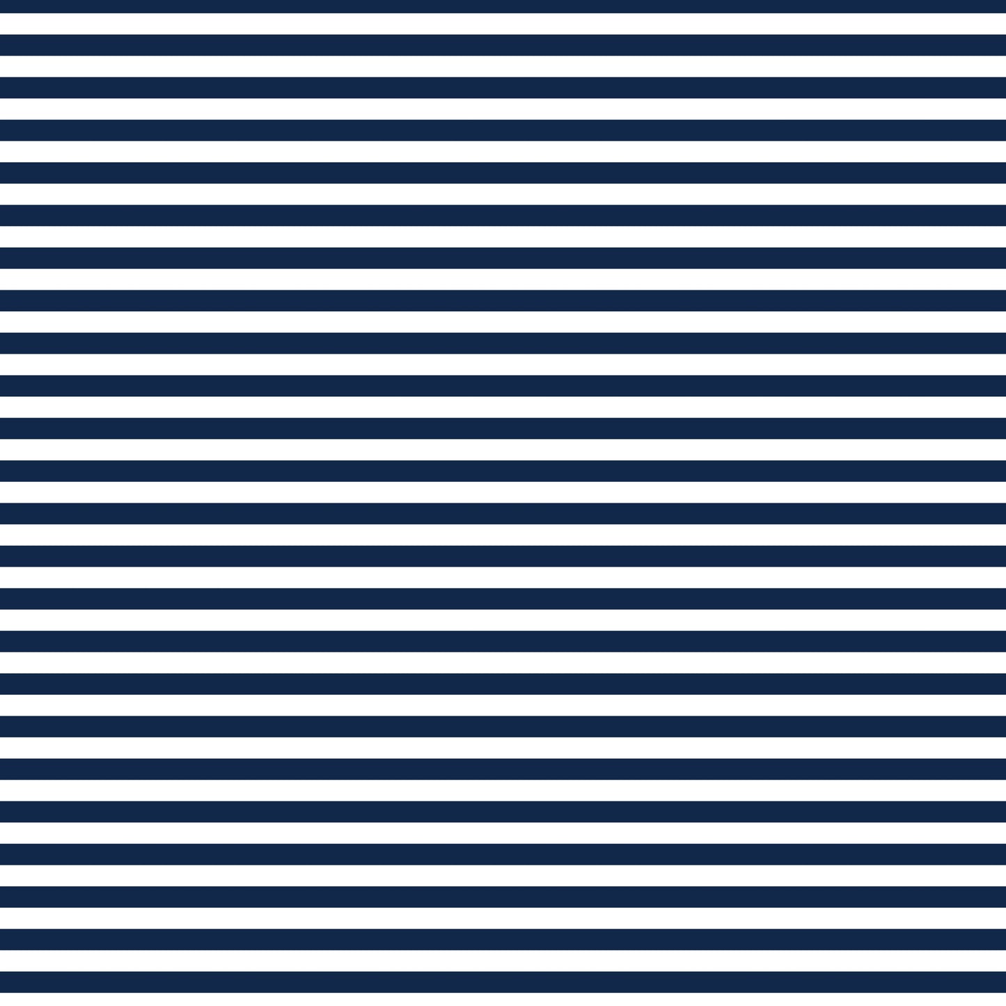 DV2866 FUNDAMENTALS 45748 STRIPE GAMBIER BLUE