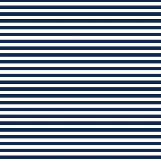 DV2866 FUNDAMENTALS 45748 STRIPE GAMBIER BLUE