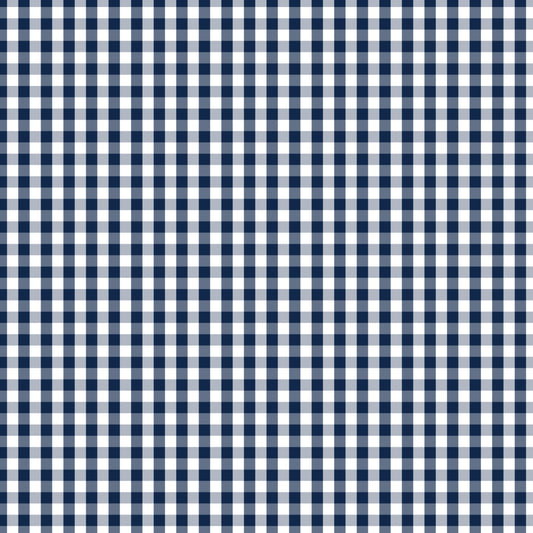 DV2869 FUNDAMENTALS CHECK GAMBIER BLUE