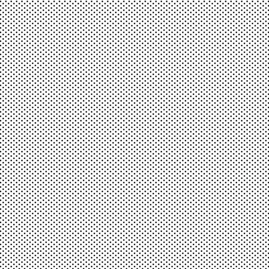 DV2931 FUNDAMENTALS 1/16 SPOT BLACK