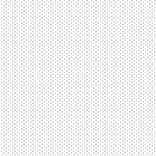 DV2933 FUNDAMENTALS 45870 SPOT SILVER GUM