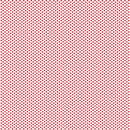 DV2939 FUNDAMENTALS 45870 SPOT RED DELICIOUS
