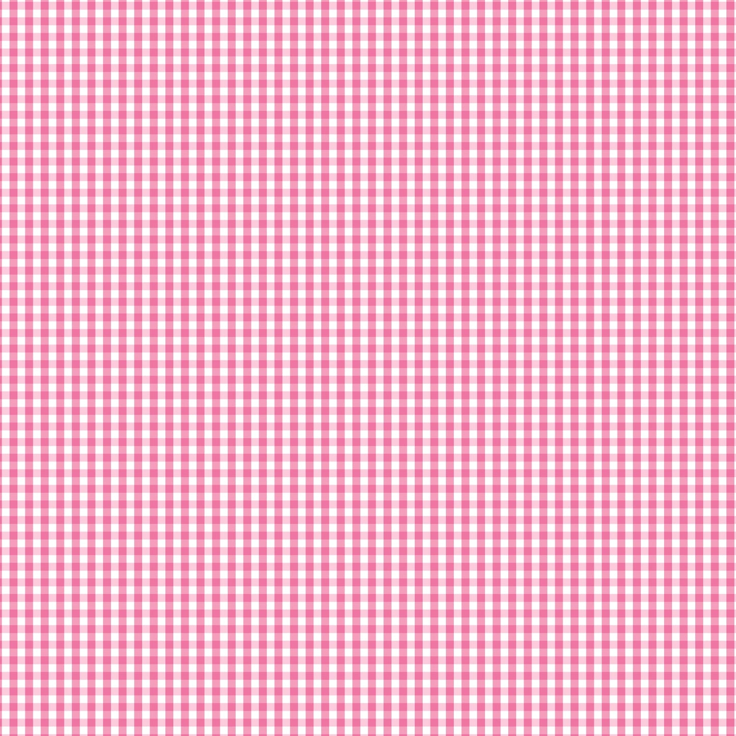DV2944 FUNDAMENTALS 1/8 CHECK LT PINK
