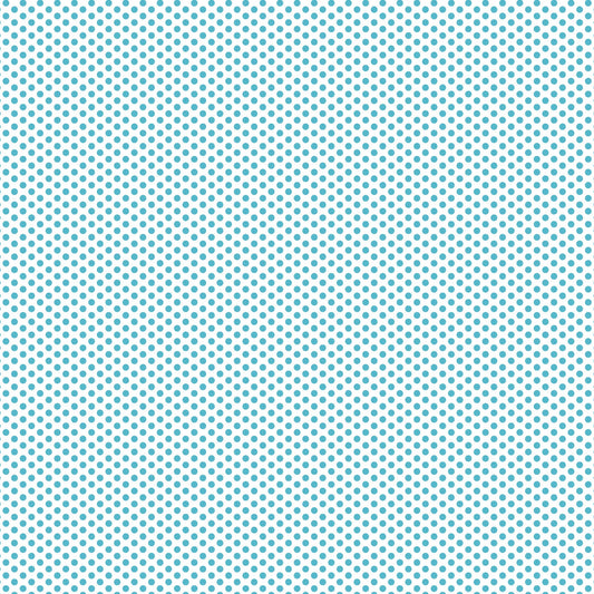 DV2951 FUNDAMENTALS 45870 SPOT BARRIER BLUE