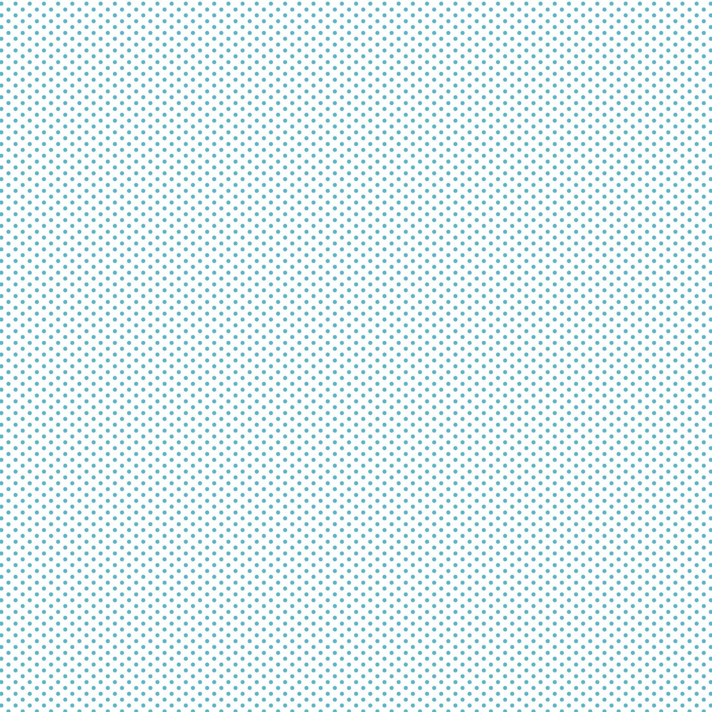 DV2952 FUNDAMENTALS 1/16 SPOT BARRIER BLUE