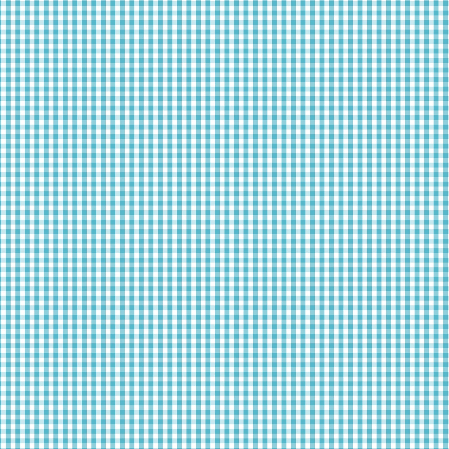 DV2953 FUNDAMENTALS 1/8 CHECK BARRIER BLUE