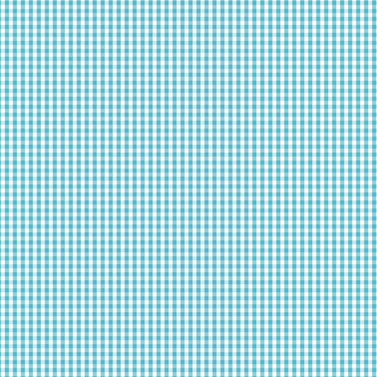 DV2953 FUNDAMENTALS 1/8 CHECK BARRIER BLUE