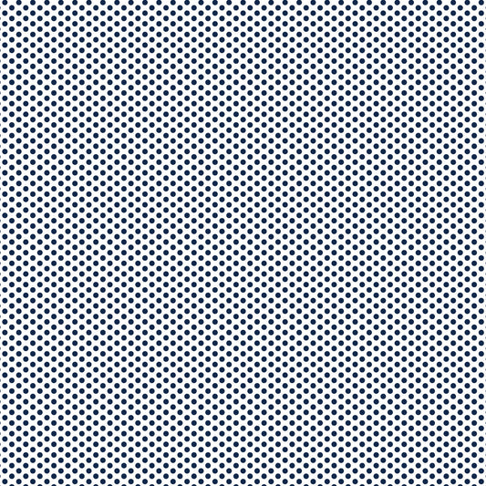 DV2954 FUNDAMENTALS 45870 SPOT GAMBIER BLUE