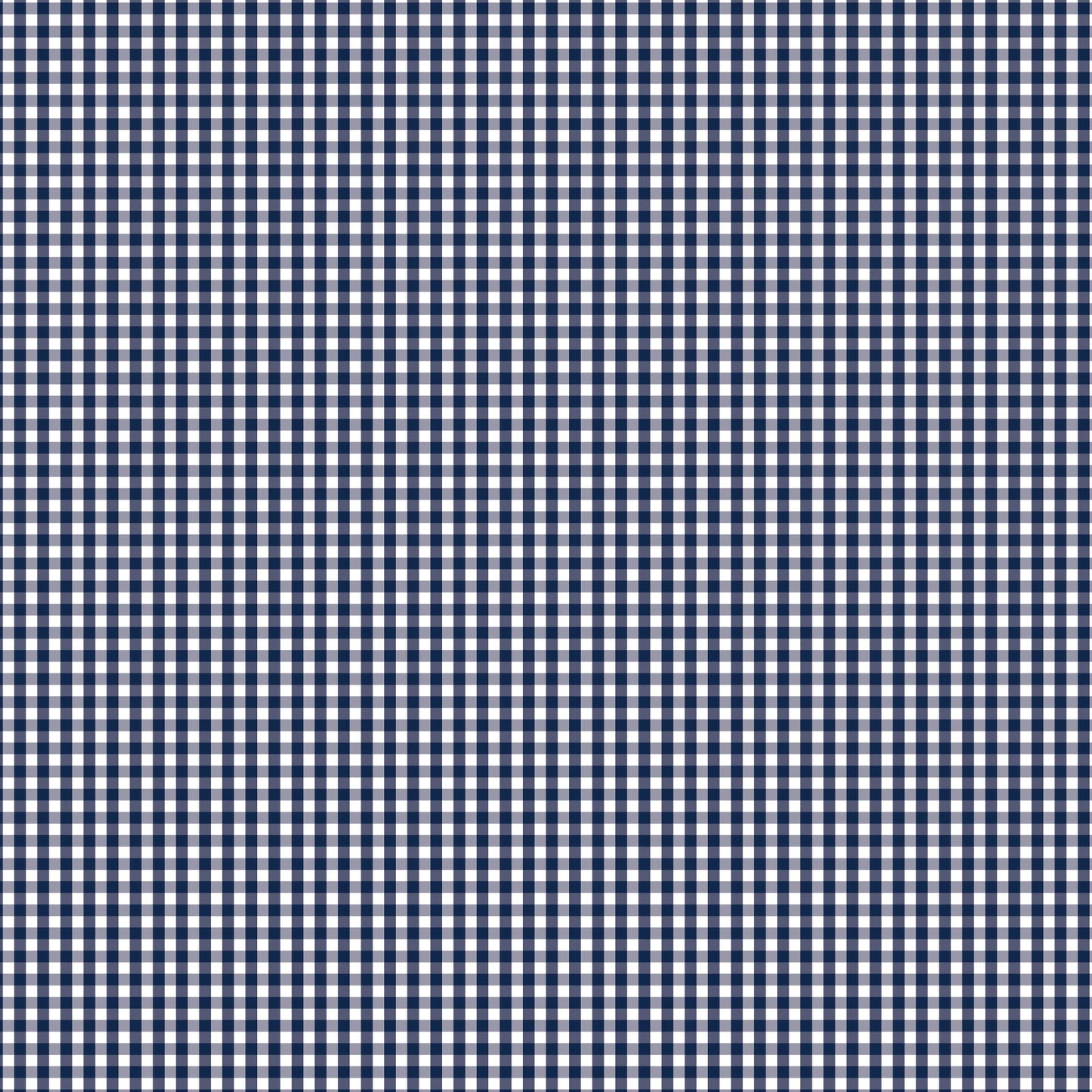 DV2956 FUNDAMENTALS 1/8 CHECK GAMBIER BLUE