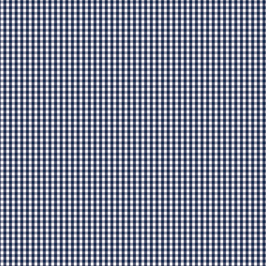 DV2956 FUNDAMENTALS 1/8 CHECK GAMBIER BLUE