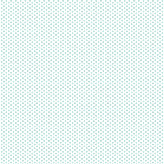 DV2957 FUNDAMENTALS 45870 SPOT SEAFOAM