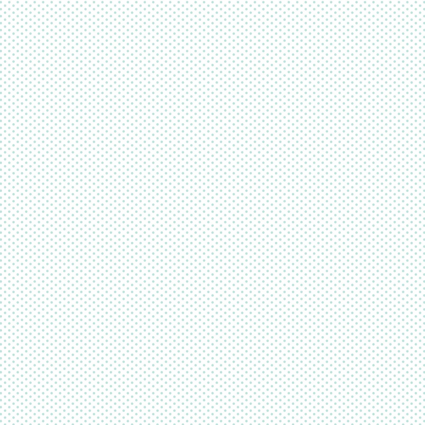 DV2958 FUNDAMENTALS 1/16 SPOT SEAFOAM