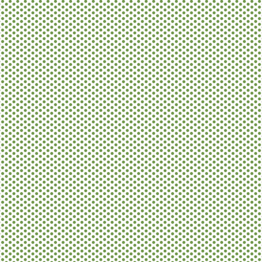 DV2960 FUNDAMENTALS 45870 SPOT CROCODILE