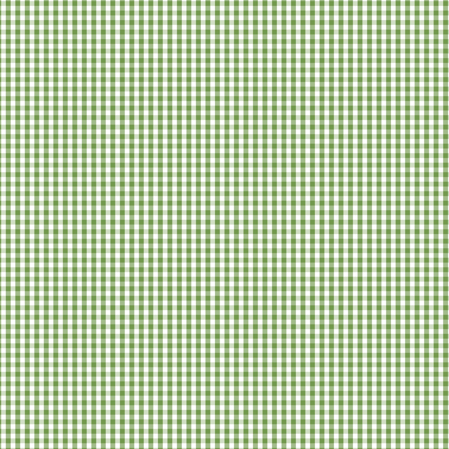 DV2962 FUNDAMENTALS 1/8 CHECK CROCODILE