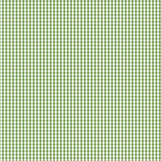 DV2962 FUNDAMENTALS 1/8 CHECK CROCODILE