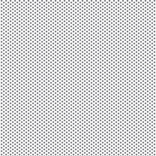 DV2966 FUNDAMENTALS 45870 SPOT B/GREY