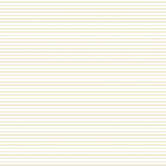 DV2970 FUNDAMENTALS 45870 STRIPE N/CREAM