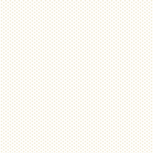 DV2973 FUNDAMENTALS 45870 SPOT N/CREAM