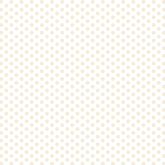 DV2974 FUNDAMENTALS 45748 SPOT N/CREAM