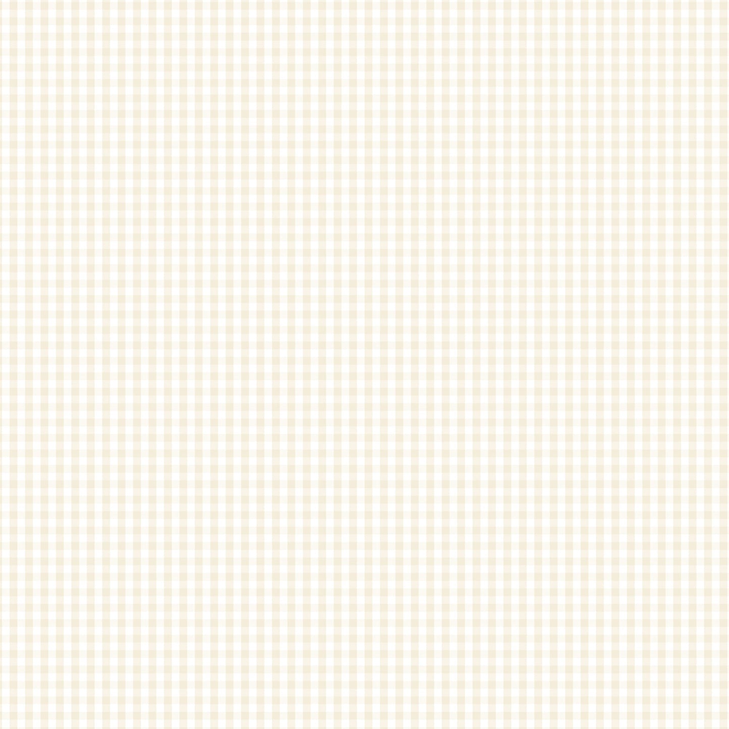 DV2975 FUNDAMENTALS 1/8 CHECK N/CREAM