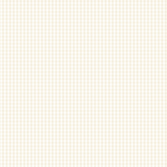 DV2975 FUNDAMENTALS 1/8 CHECK N/CREAM