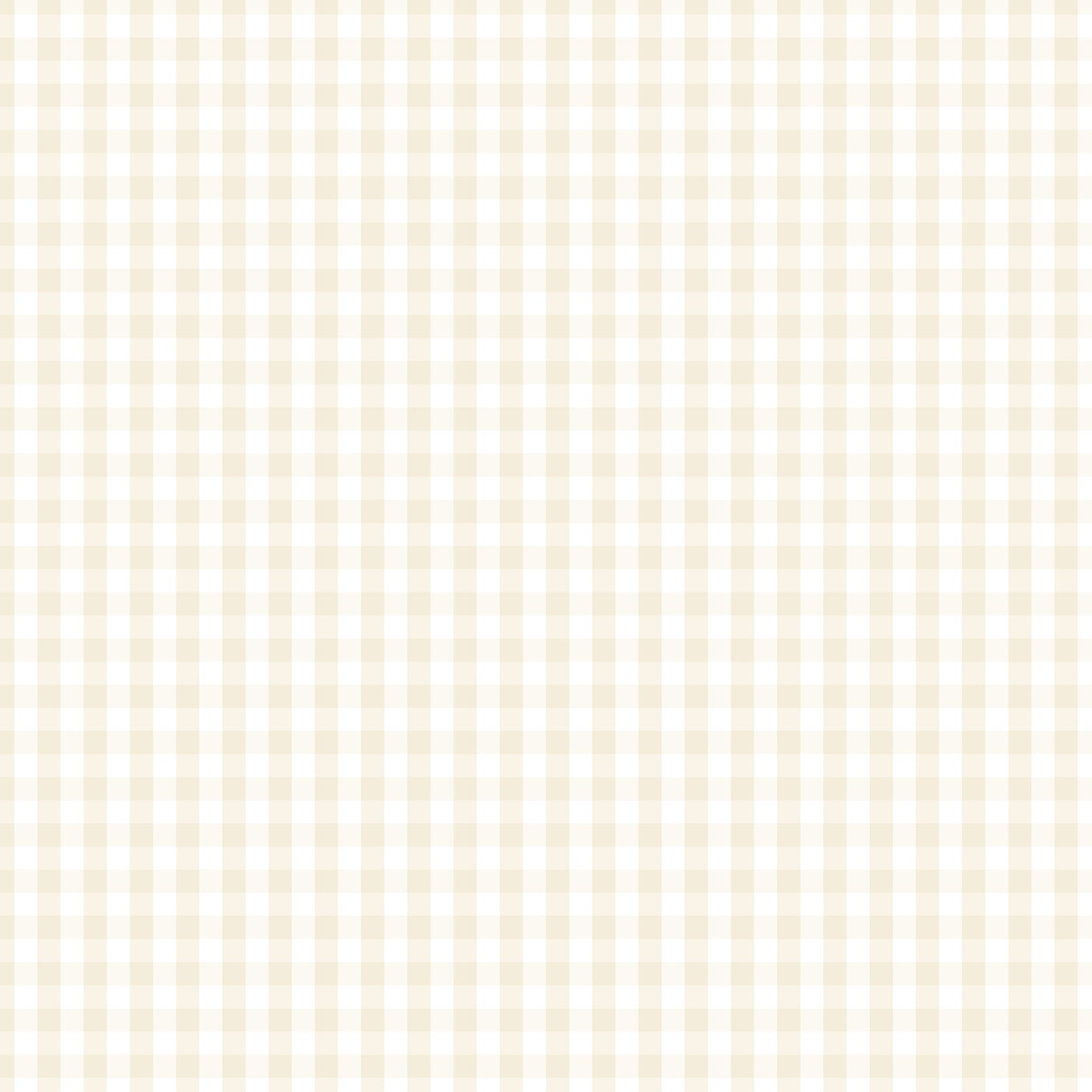 DV2976 FUNDAMENTALS 1/4 CHECK N/CREAM