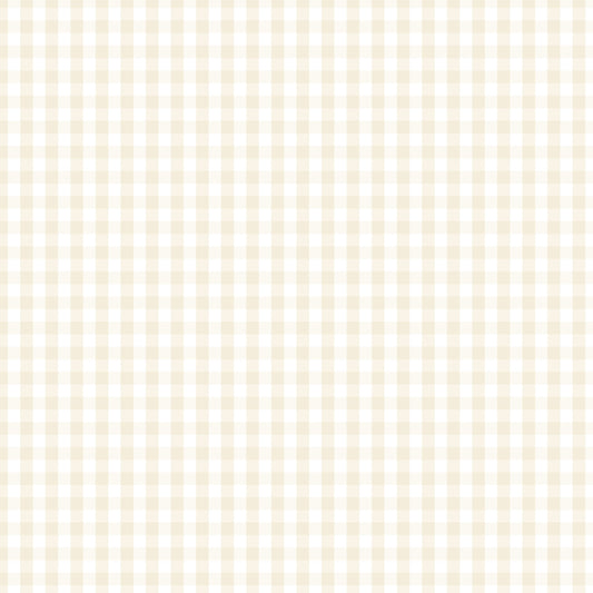 DV2976 FUNDAMENTALS 1/4 CHECK N/CREAM