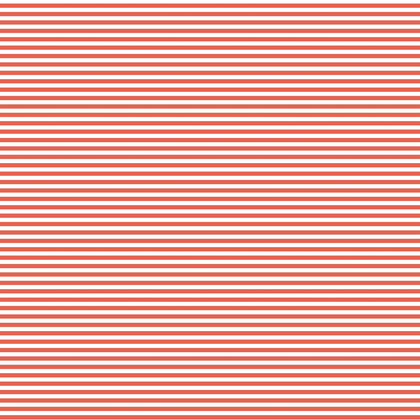 DV2977 FUNDAMENTALS 45870 STRIPE GEORGIA